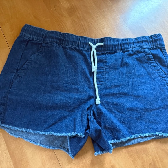 LOFT Blue Shorts Women's Large - Picture 2 of 9